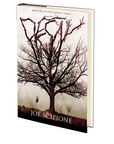 Decay (Book One in the Contact Series) by Joe Scipione