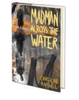 The Madman Across the Water by Caroline Angel