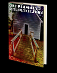 Subjective Serendipity by Christopher Besonen