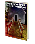 Subjective Serendipity by Christopher Besonen