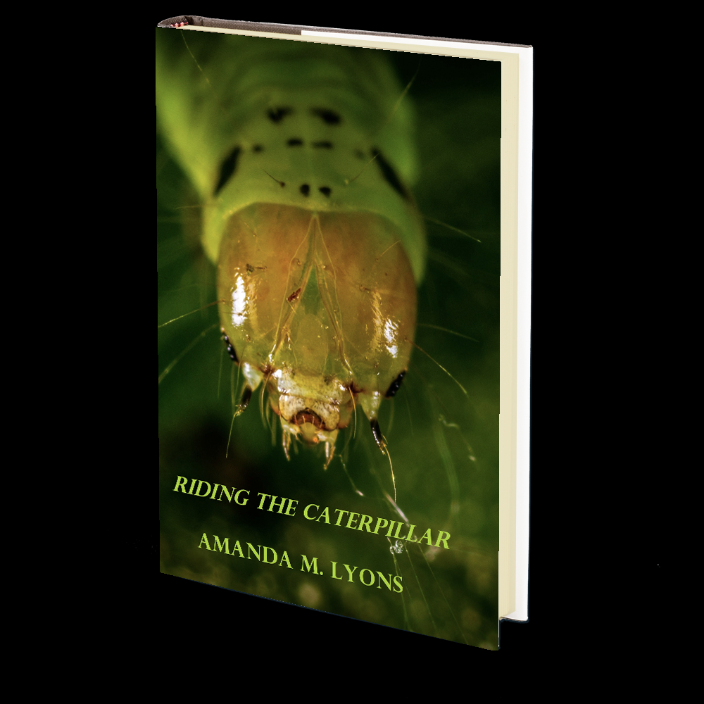 Horror Books Extreme Horror Underground Indie Horror Books Bookstore Godless