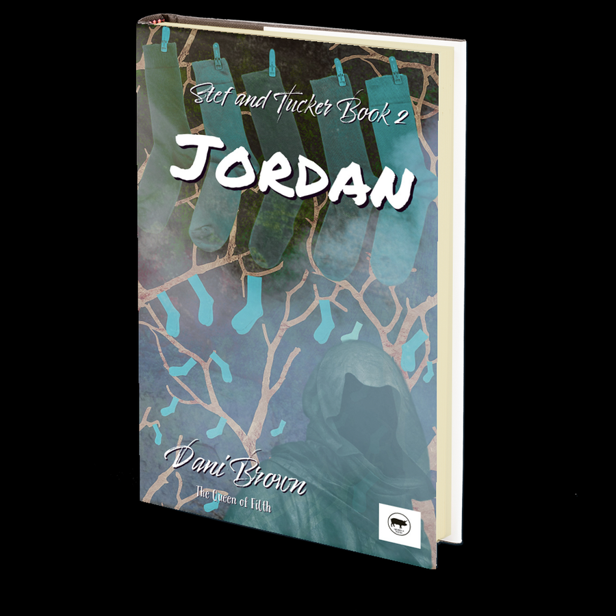 Stef and Tucker Book Two Jordan by Dani Brown