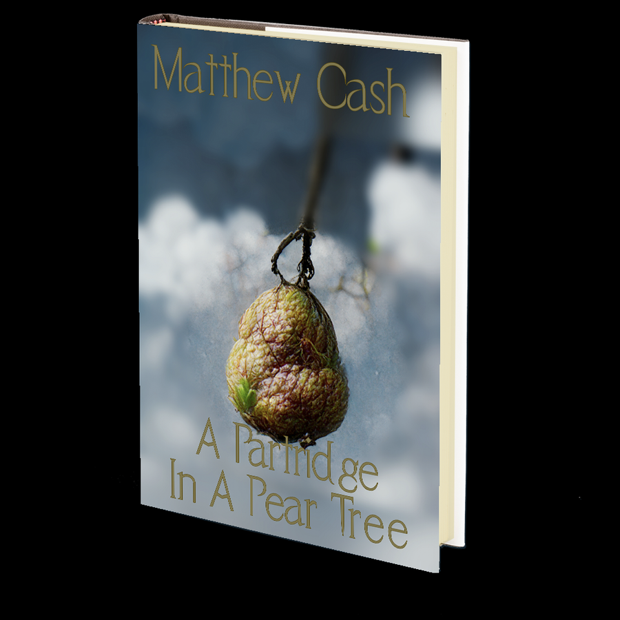 A Partridge in a Pear Tree by Matthew Cash