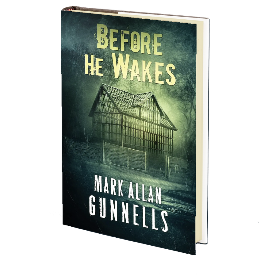 Before he Wakes by Mark Allan Gunnells