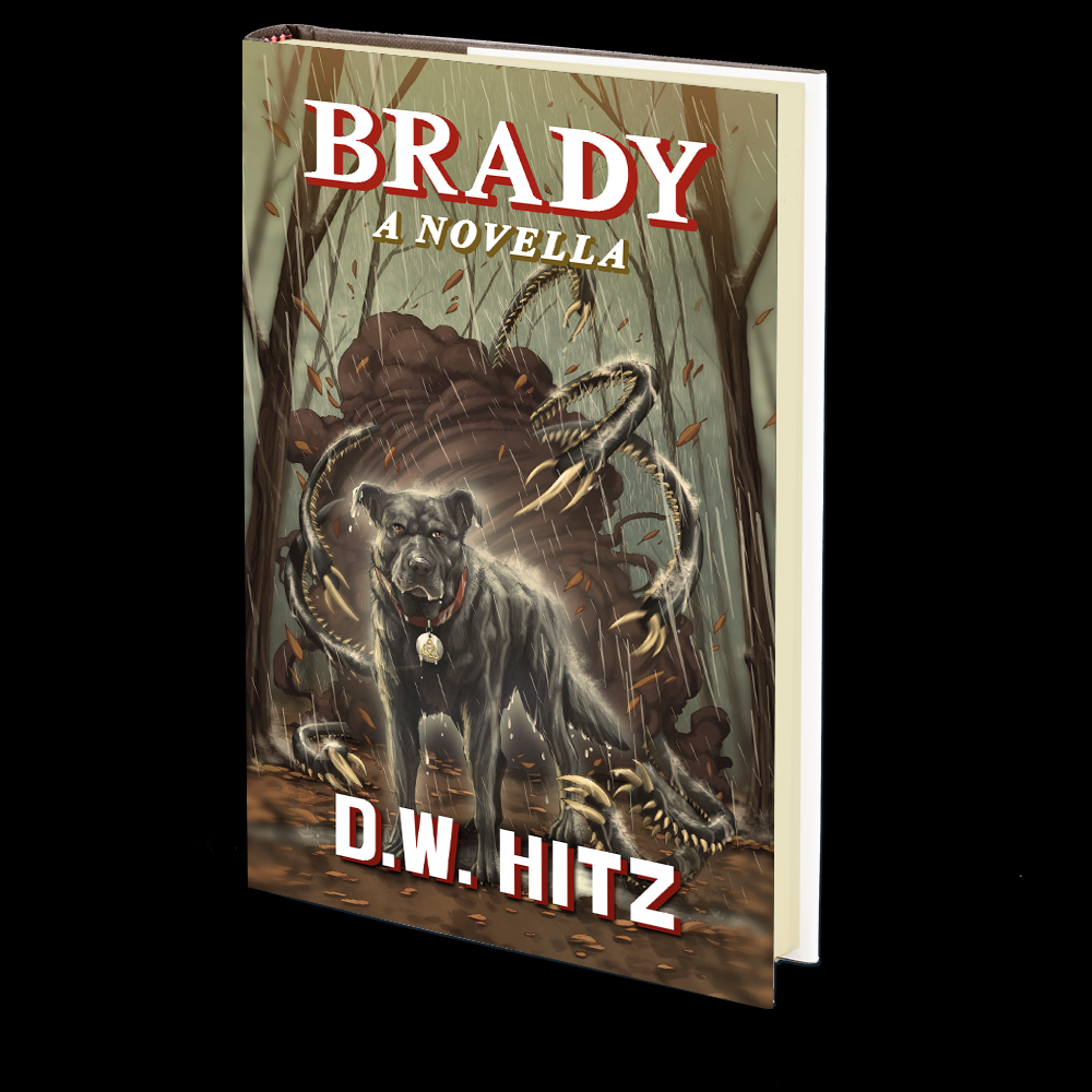 Brady by D.W. Hitz