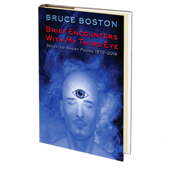 Brief Encounters with My Third Eye: Selected Short Poems 1975-2016 by Bruce Boston