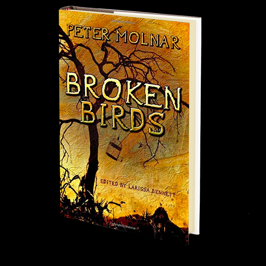 Broken Birds by Peter Molnar