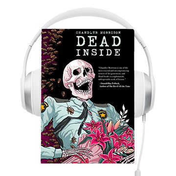Dead Inside - Audio Book by Chandler Morrison