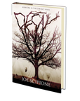 Decay (Book One in the Contact Series) by Joe Scipione