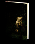 Dysfunctional Fiction: Nineteen Tales of Weirdness by Guy Medley
