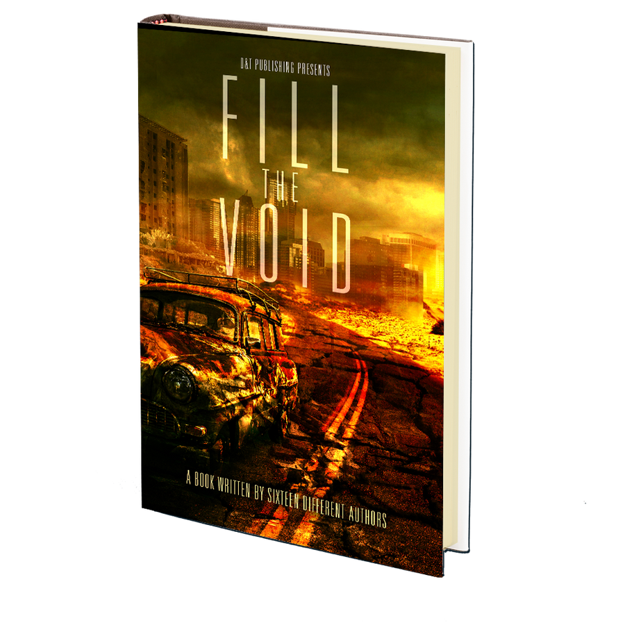 FIll the Void: A Book Written by 16 Different Authors