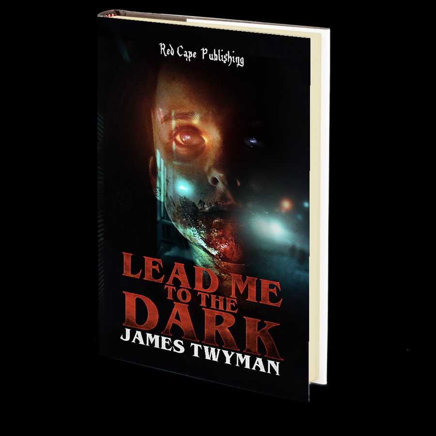 Lead Me To The Dark by James Twyman
