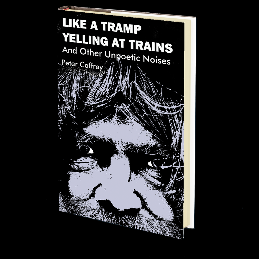 Like a Tramp Yelling at Trains and Other Unpoetic Noises by Peter Caffrey
