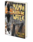 The Madman Across the Water by Caroline Angel