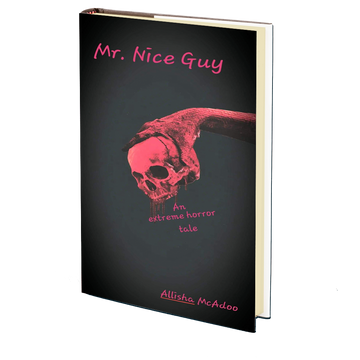 Mr. Nice Guy by Allisha McAdoo