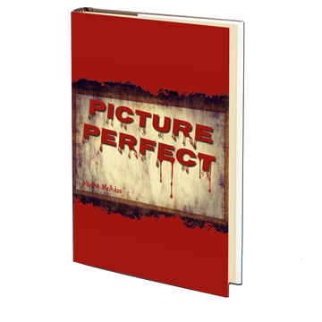 Picture Perfect by Allisha McAdoo