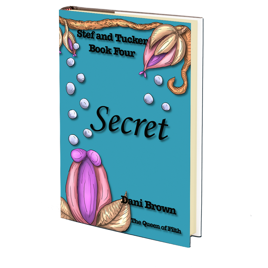 Stef and Tucker Book Four: Secret by Dani Brown