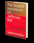 The Singular Adventures Of Jefferson Ball  by David Perlmutter