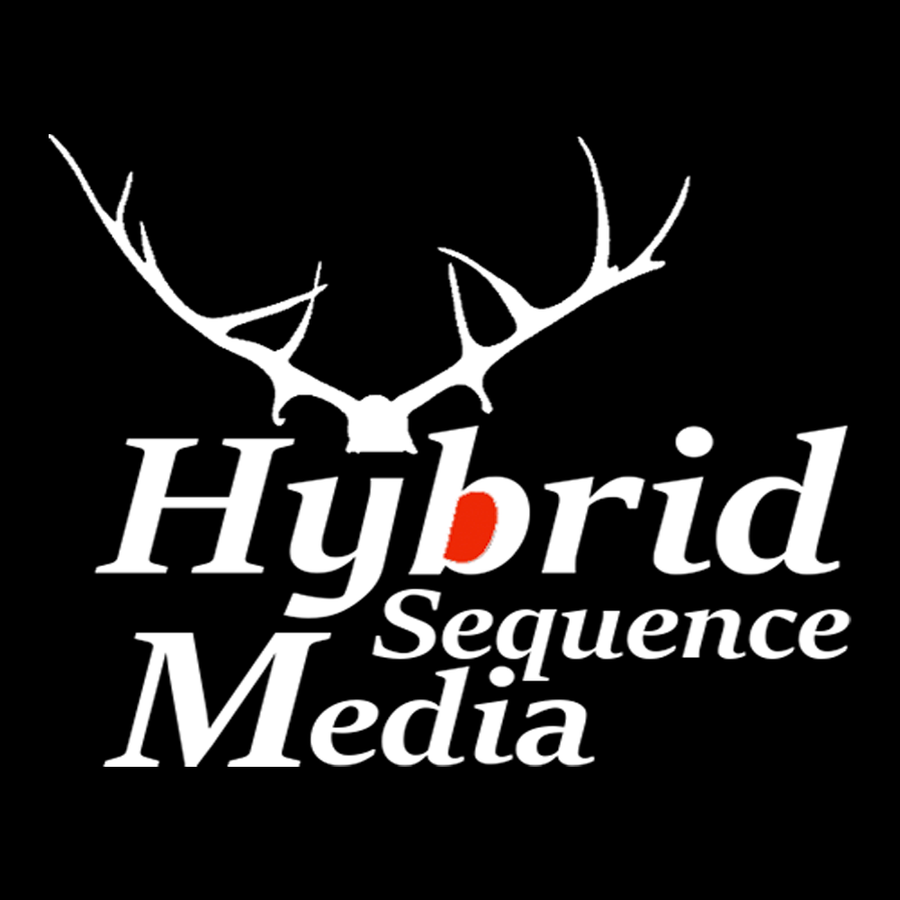 Hybrid Sequence Media